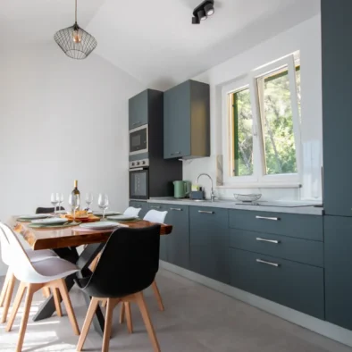 Apartman Tea Blace - kuhinja