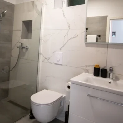 Apartman Blace "Tonka" wc